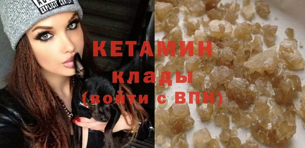 прущие грибы Михайлов