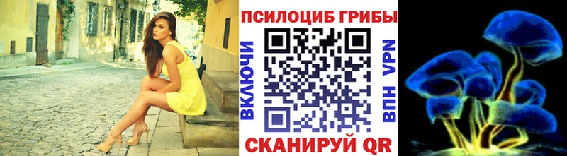 Галлюциногенные грибы Magic Shrooms  Горячий Ключ 