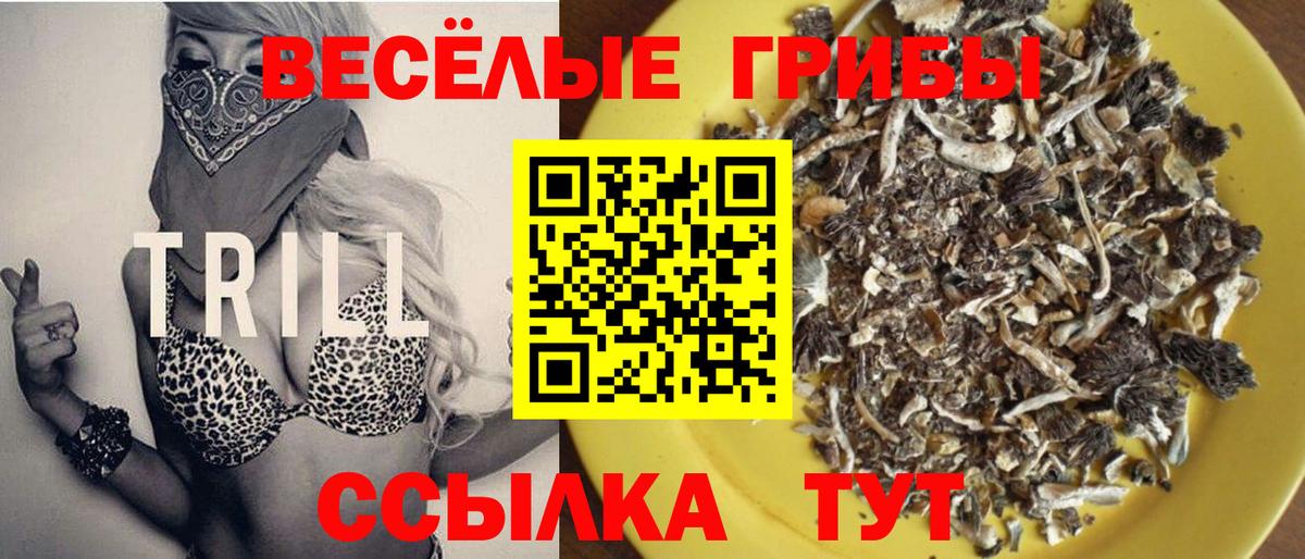 Псилоцибиновые грибы GOLDEN TEACHER Горячий Ключ