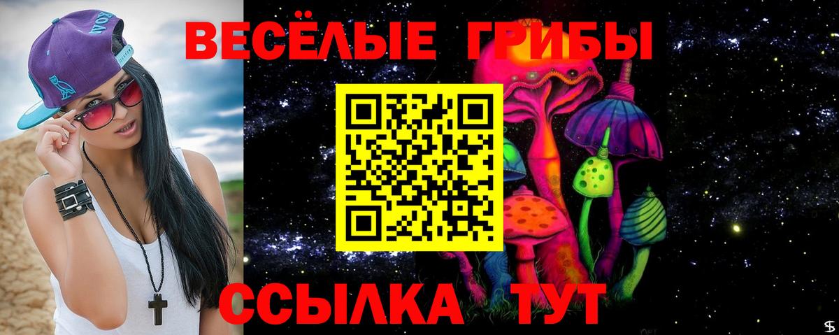 Галлюциногенные грибы Psilocybe Горячий Ключ